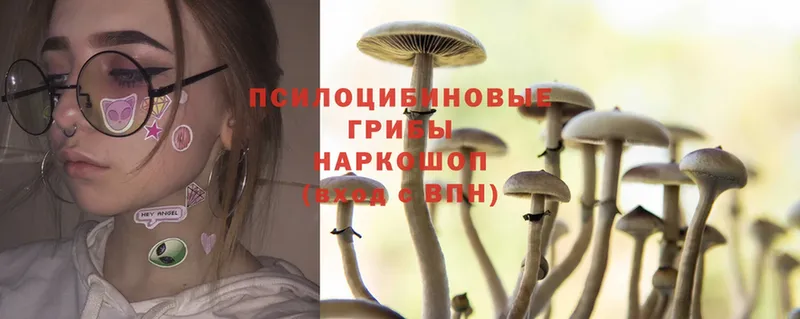 блэк спрут ТОР  Набережные Челны  Псилоцибиновые грибы Psilocybe 